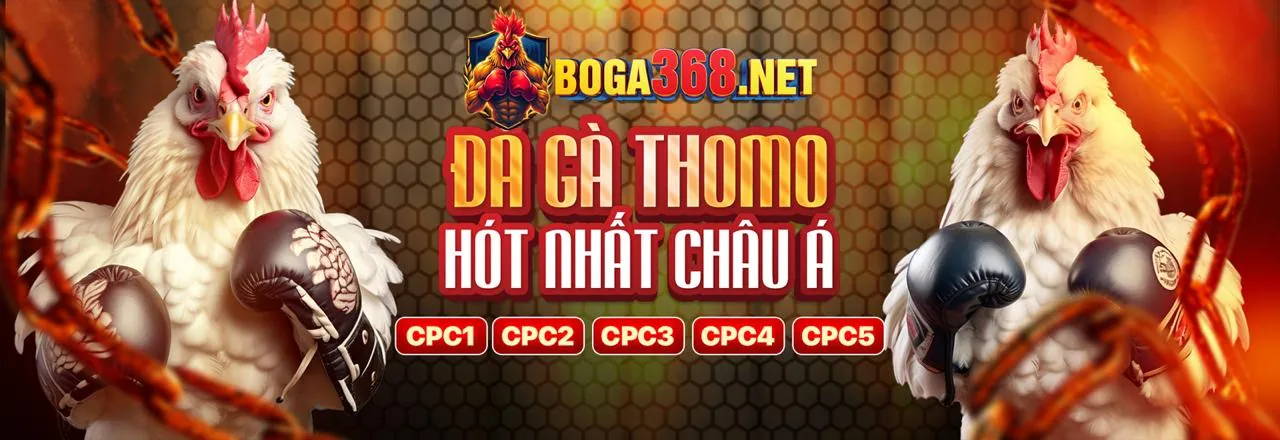 Đá gà trực tuyến sôi động tại 88t bet
